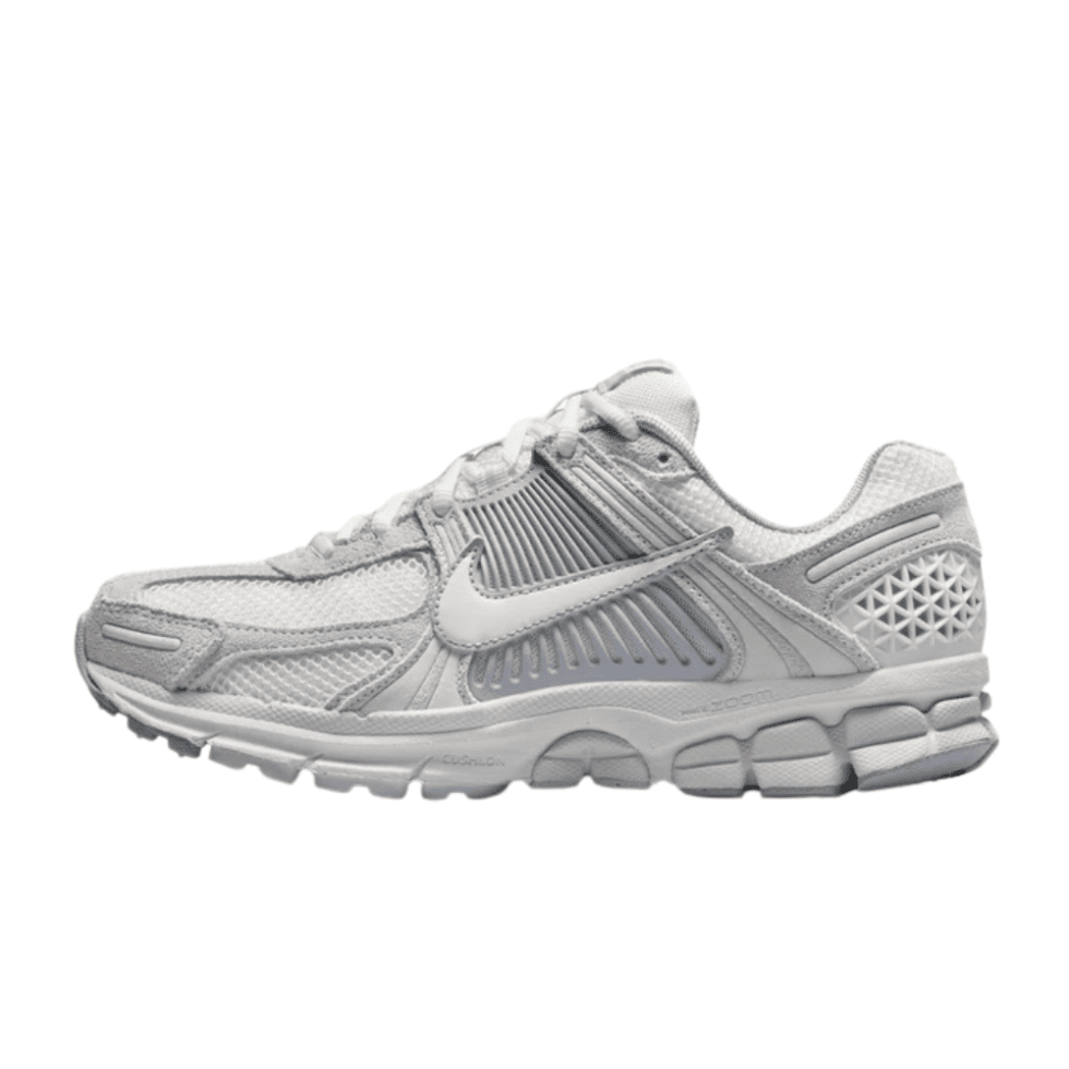 Air-Zoom-Vomero-Dunk-Shoes.png